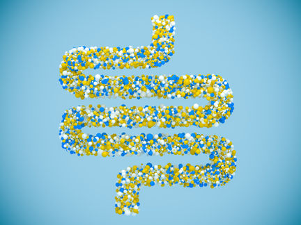 Diferença entre prebióticos, probióticos, simbióticos e pós-bióticos