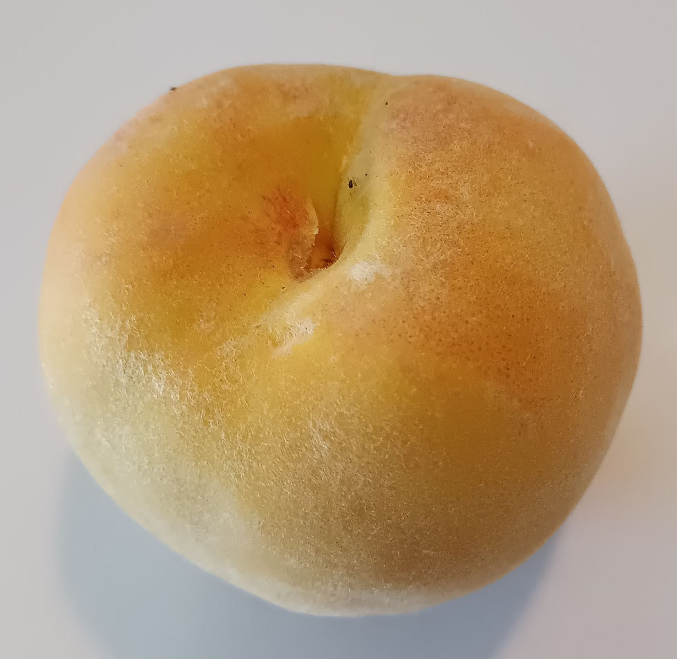 Peach - Golden Queen