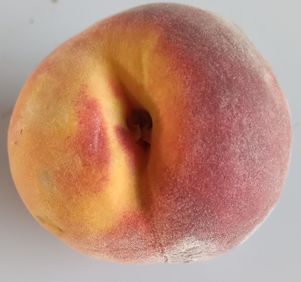 Peach - Spring Lady