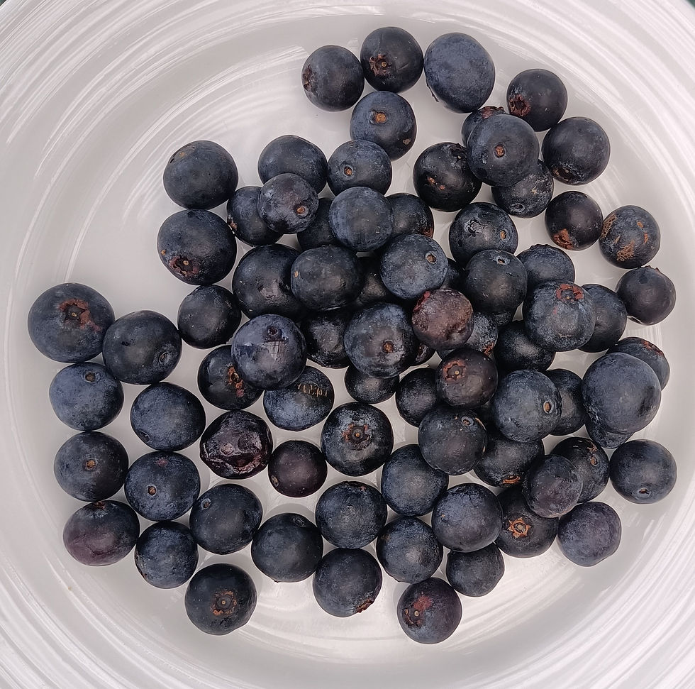 Blueberries