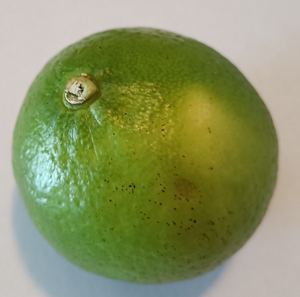 Lime