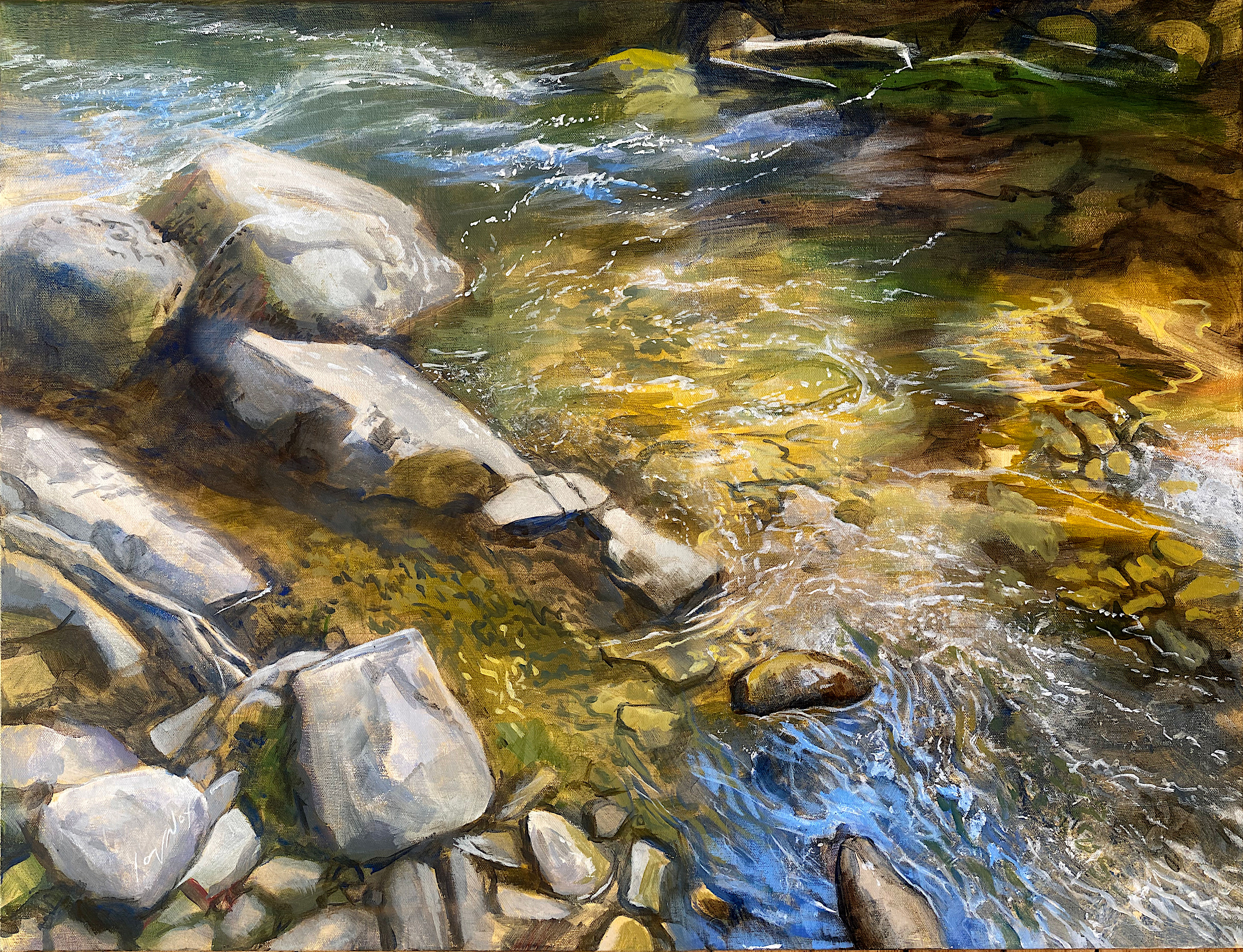 River Taw Pool, Glowing bed, Dartmoor