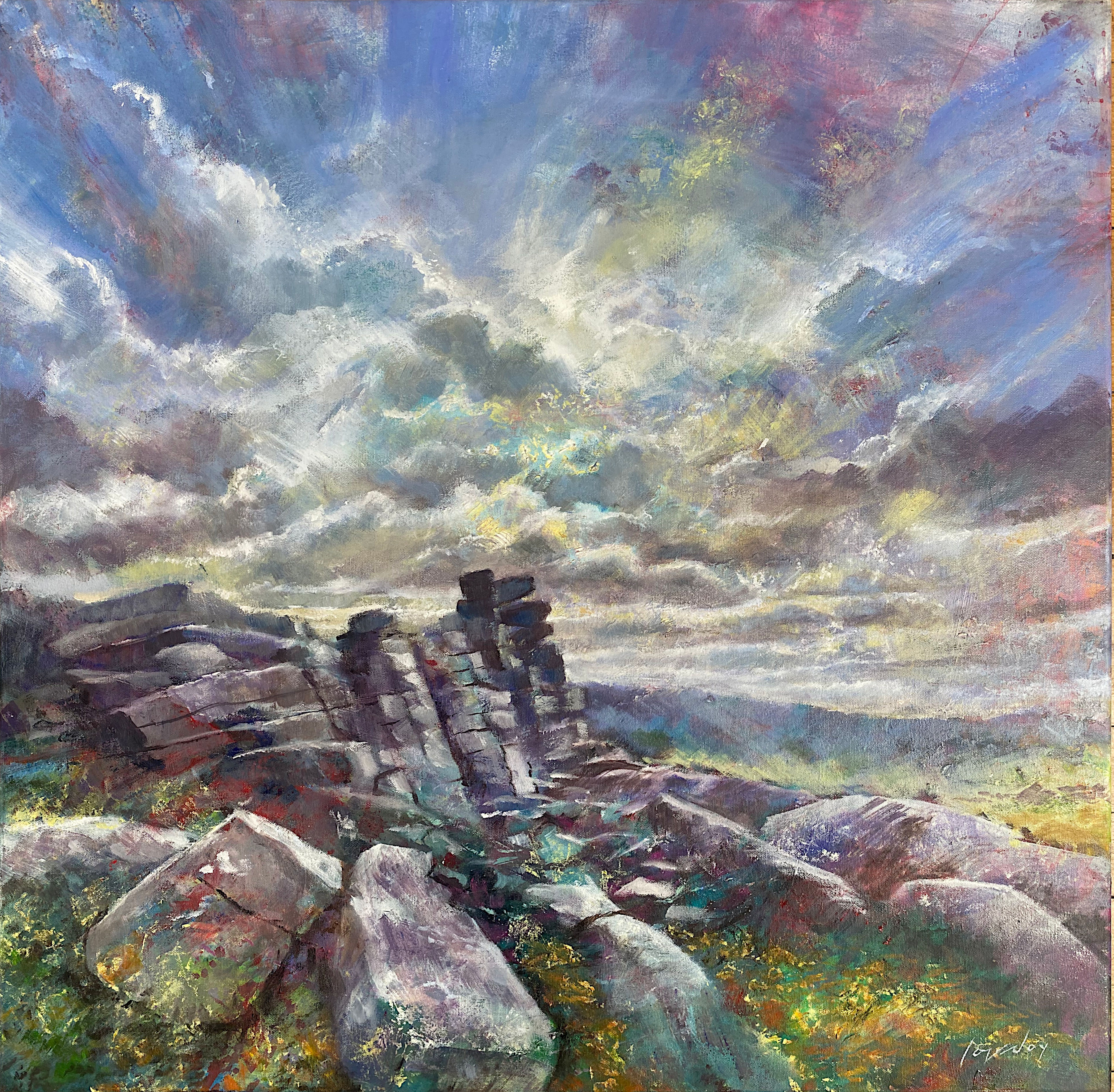 Belstone Common, Dartmoor