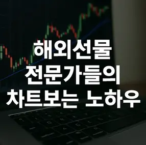 해외선물 전문가들의 차트보는 노하우 정리
