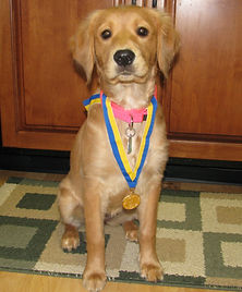 20110304_0625 (2).JPG