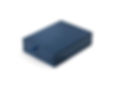 PETRIBUTES_A_LAST_IMPRESSION_BLUE-450x33