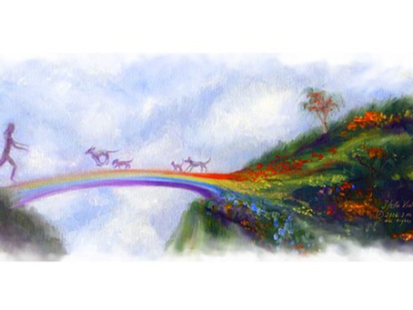 How to Find Comfort and Spiritual Growth Through Pet Loss: Lessons from Animal Companions