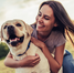 Bonding with your pet: connecting at a soul level