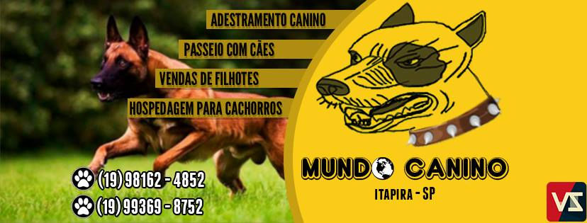 Canil mundo canino