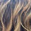 Miniatura: Close-up of wavy, light brown hair strands, natural texture and color.