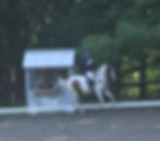 IMG_2888_edited