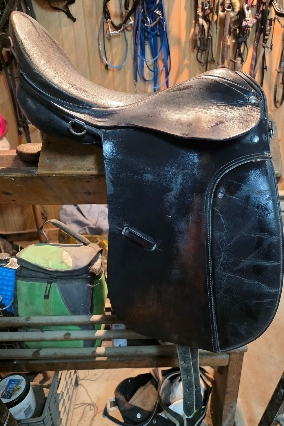lesson dressage saddle