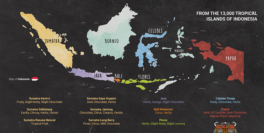 Indonesian+Coffee+Map.png