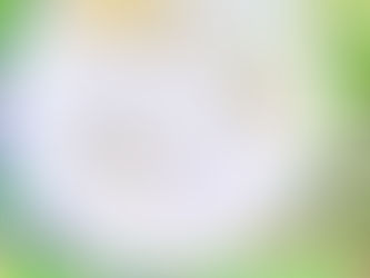 ARGAN / आर्गन