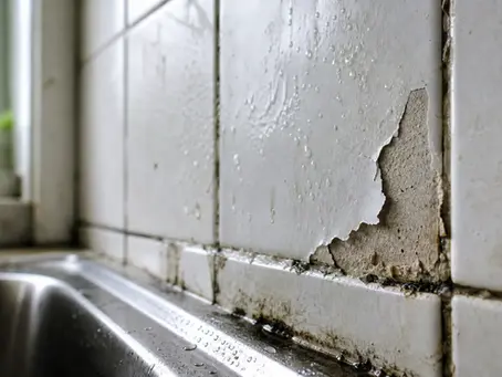 HDB Kitchen Wall Moisture Damage Repair
