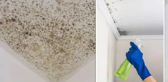 WhatsApp Image 2025-09-26 at 14.22.13.jpeg