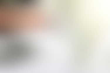 Immatriculer une société en France avec le Guichet Unique