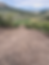 ground clearing