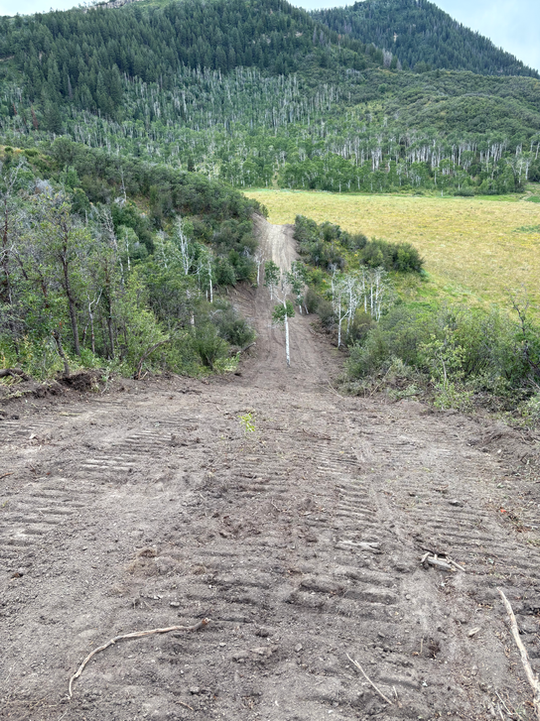 ground clearing