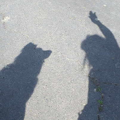 20220623_100848.jpg