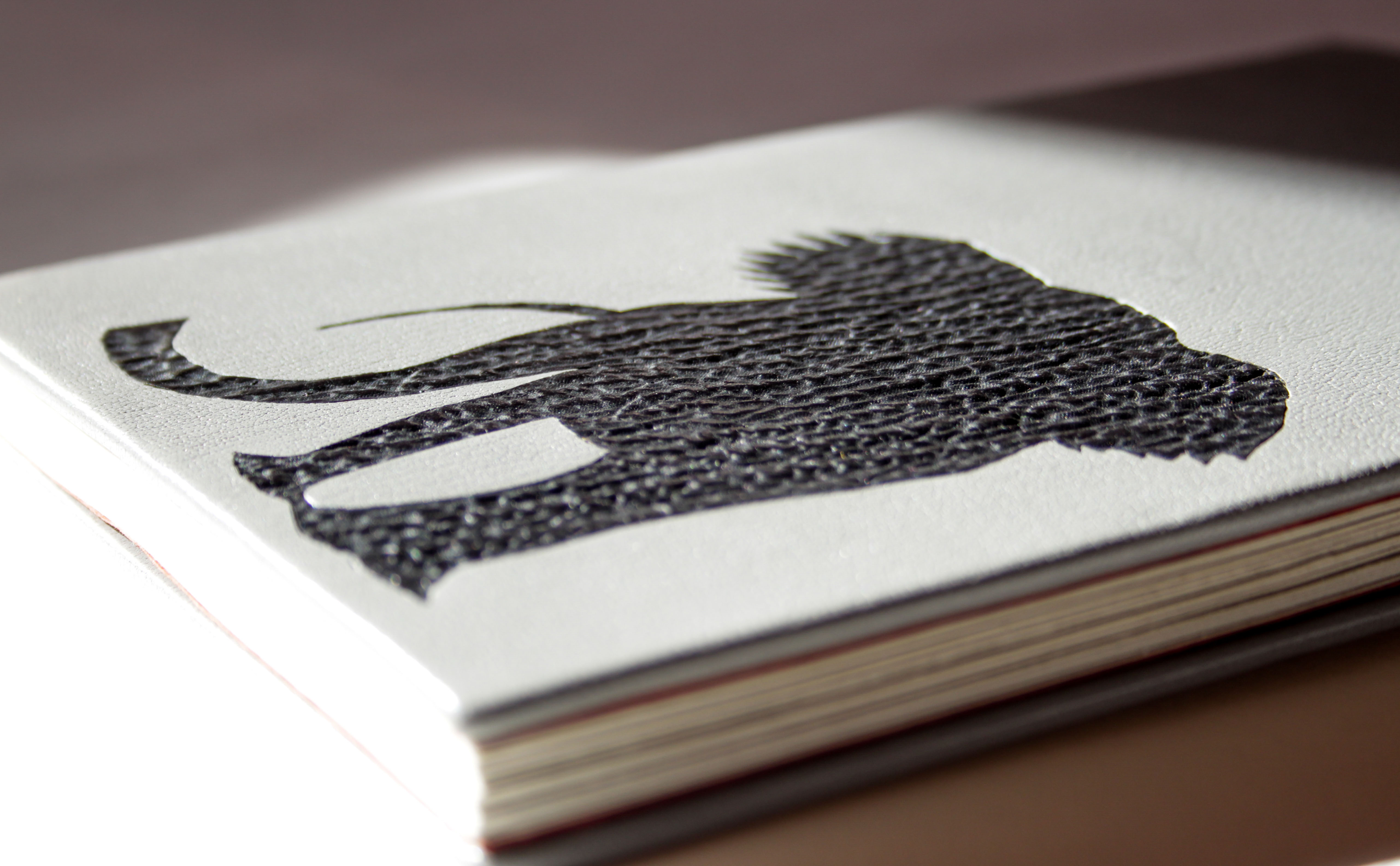 Reliure d'un livre d'artiste