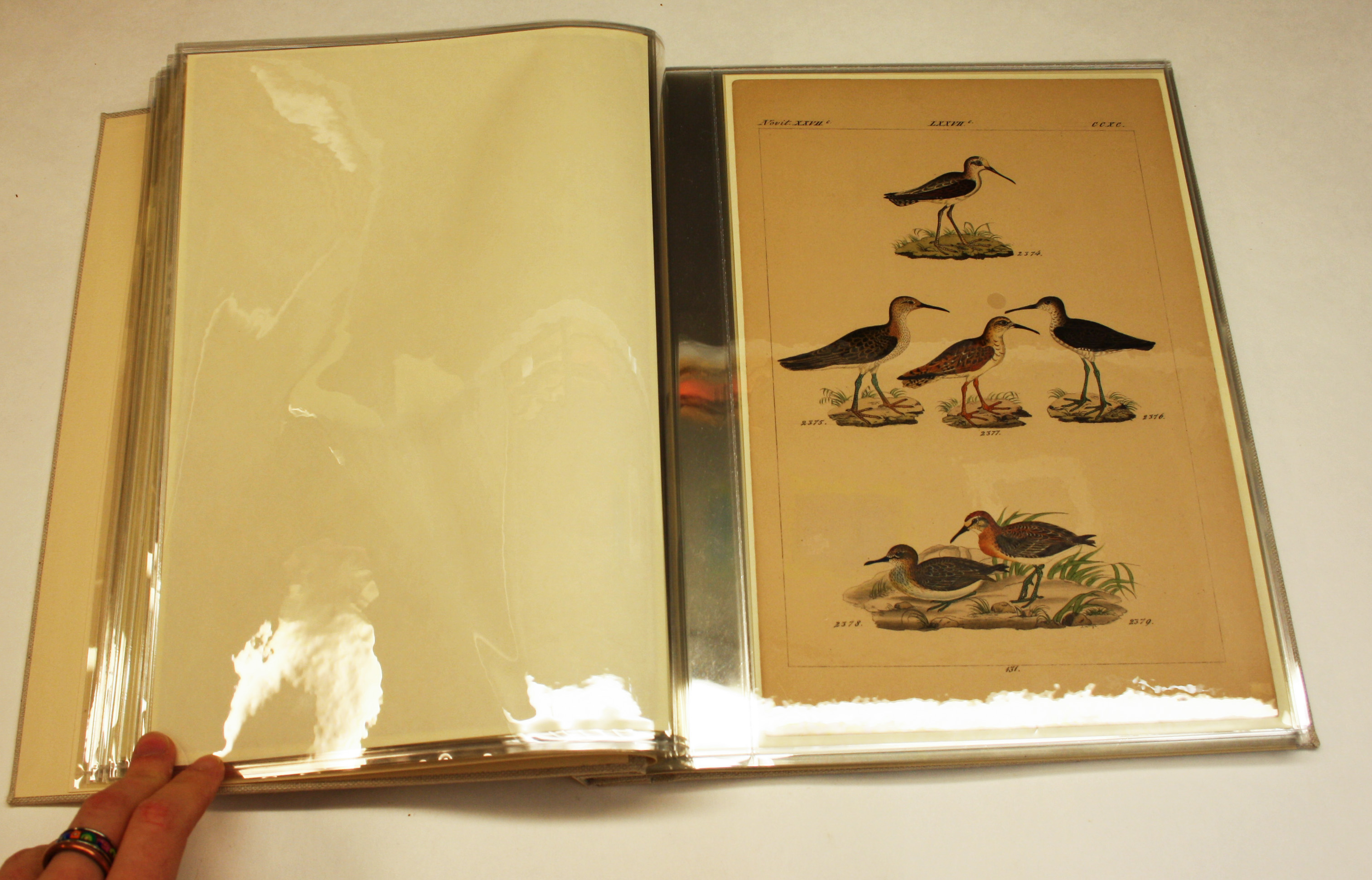 Reliure de conservation