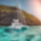 Catamaran sailing in a coral bay of a small island in caribien.jpg