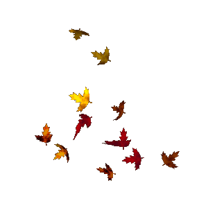falling leaf gif.gif