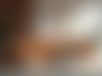 Furniture Shopping in Burlington, Ontario