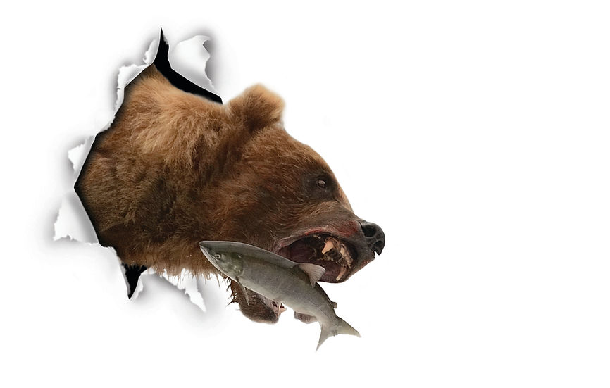 combined photograph and digital graphics