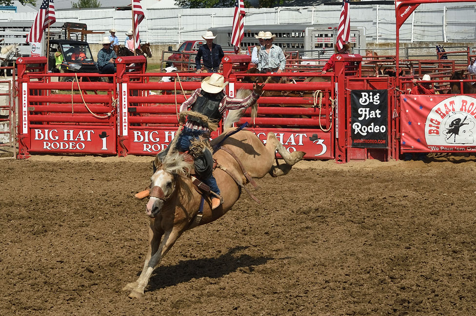 Big Hat Rodeo Bucking Bronc Princeton IL
