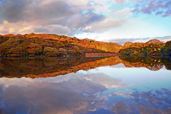 Autumn Reflections - Westfield Pill