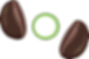 зерно coffee.UA.png