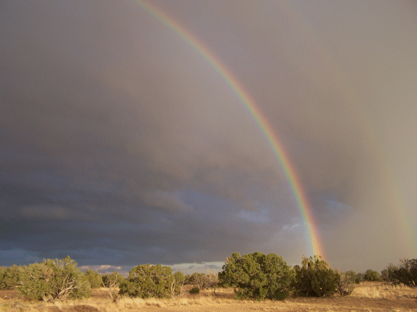 Rainbow2