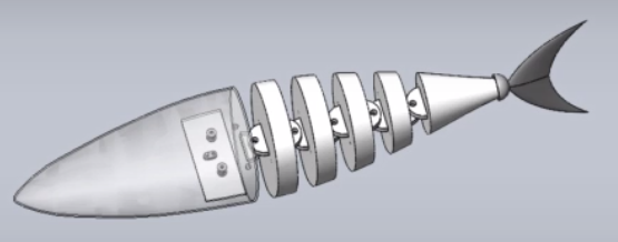 Robotic Fish Propulsion Mechanism