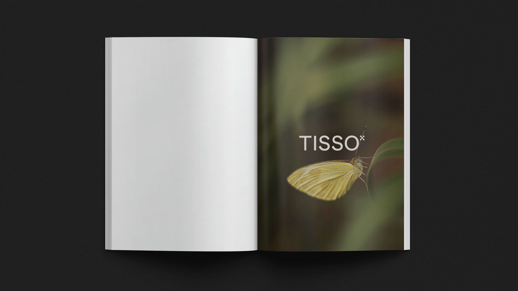 16_Tisso_Layouts_16-9_Web_K3 (1).jpg