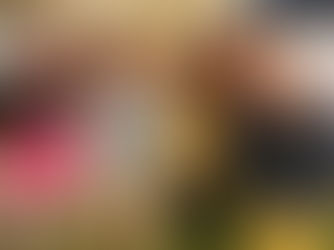 THE WHITEST BOY ALIVE REGRESA A LA CIUDAD DE MÉXICO