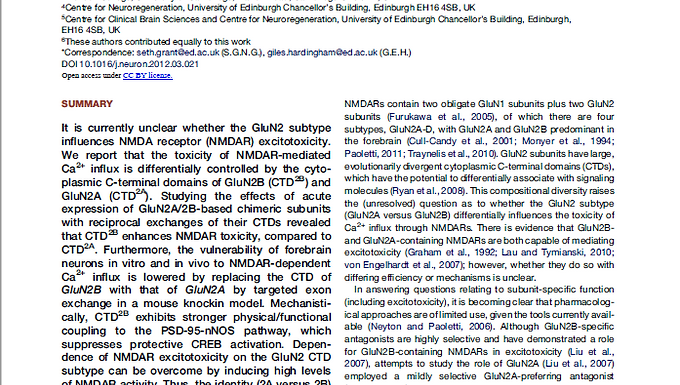 The Subtype of GluN2 C-terminal Domain Determines the Response to Excitotoxic Insults