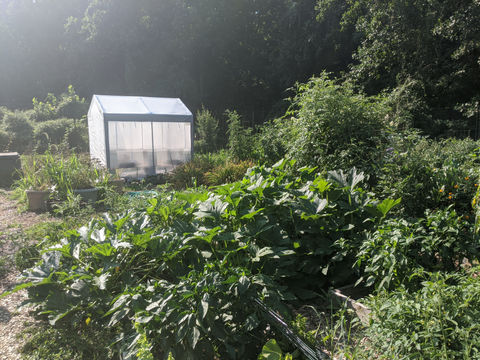 A community garden