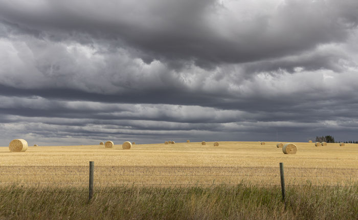 stormy day in the Alberta countryside