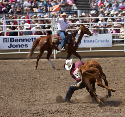 rodeo photography Calgary Stampede