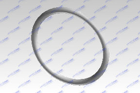 O-RING CHAIN TENSIONER (570295)