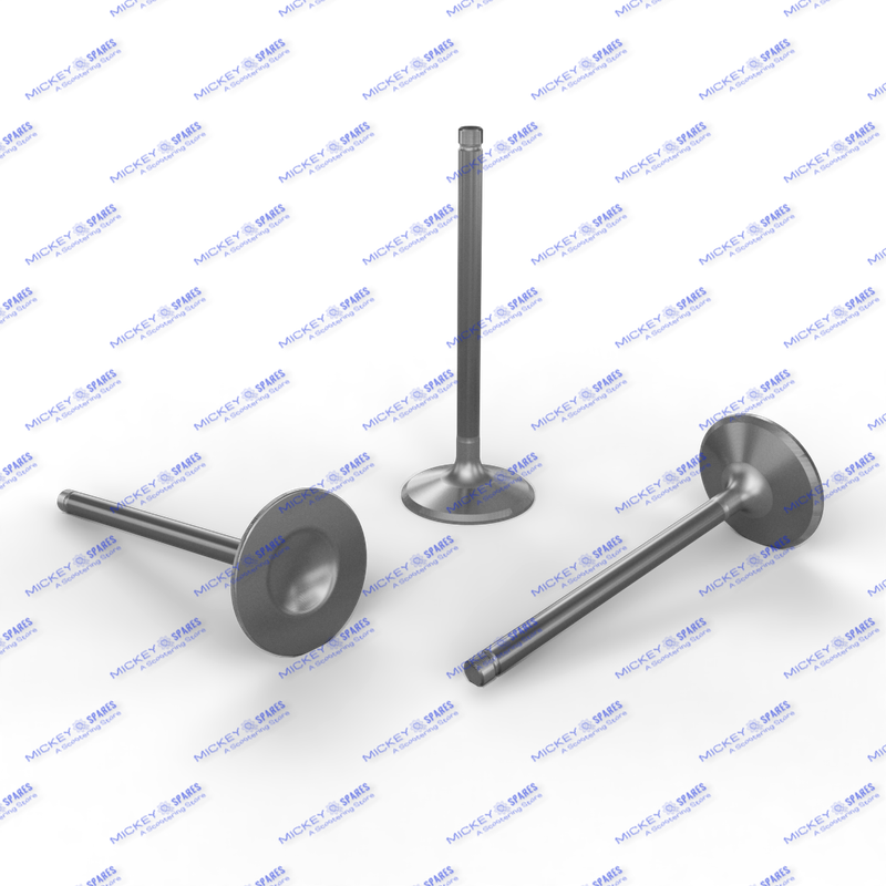Royal Enfield Classic 500 Bsiv Valve (571034)