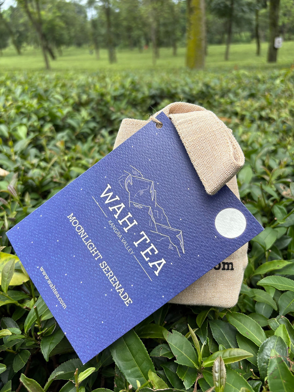 Moonlight Serenade - Loose Leaf - 30 g - Speciality White Tea | Wah Tea - product image 2