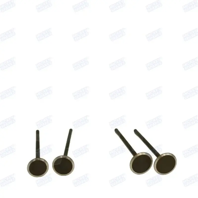 KTM RC Duke 390 cylinder head valve set