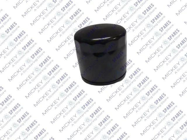 Royal Enfield Interceptor GT 650 oil filter