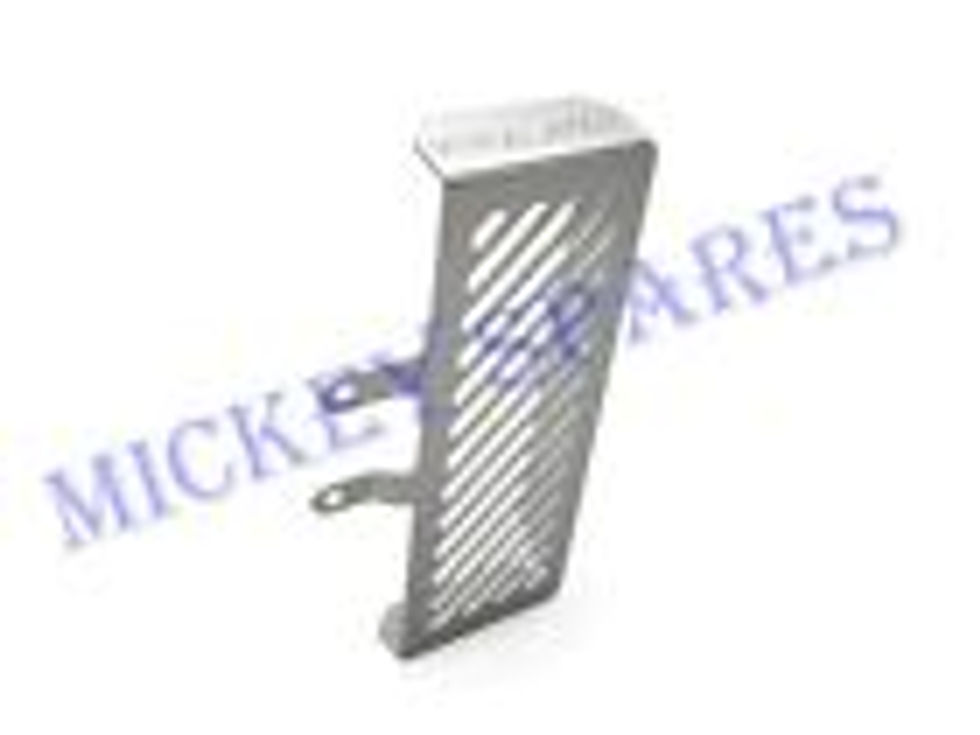 Royal Enfield Himalayan Radiator Silver Oil Cooler Guard (1990216)
