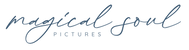 MSP - Logo
