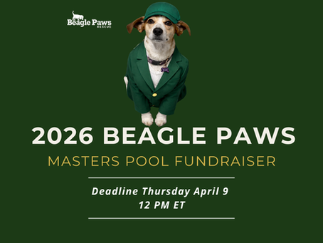 Masters Pool Fundraiser