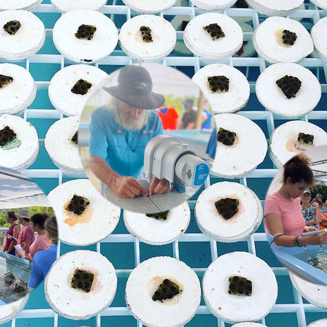 Coral Restoration Workshop!